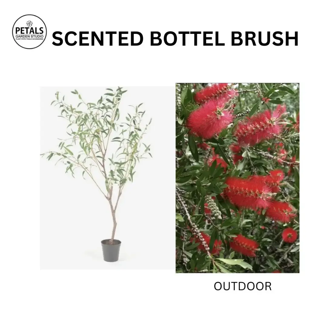 Scented Bottle Brush