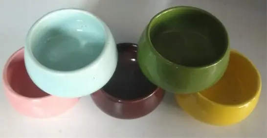 Small Succulent Bowl