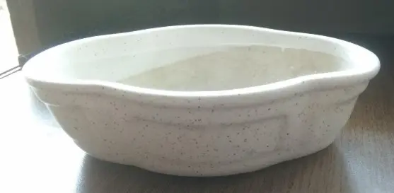Wide Mouth Bowl