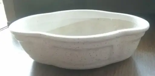 Wide Mouth Bowl